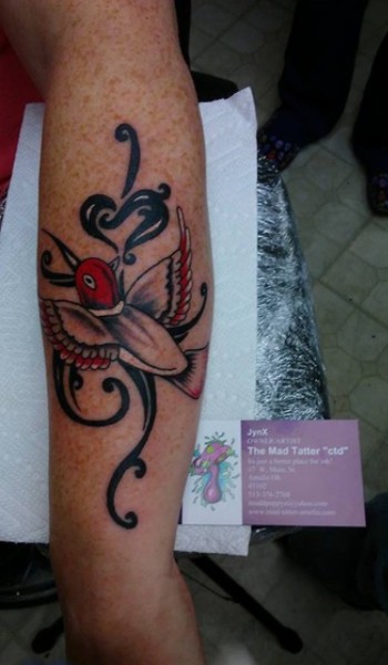 bird with elegant design