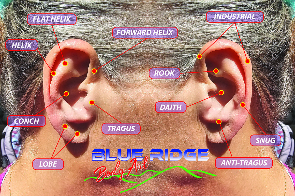 image of different styles of ear piercings